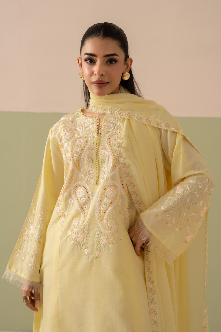 Nayla 3pc